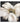 Abstract Big White Flower Textured Partial Oil Painting