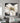 Abstract Big White Flower Textured Partial Oil Painting