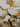 White Flowers Copper Leaves 3d Heavy Textured Partial Oil Painting - WallArtt