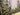 Misty Forest 3d Heavy Textured Partial Oil Painting - Wall Art - WallArtt