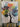 Abstract Orange Blue Tree II 3D Heavy Textured Partial Oil Painting - Wall Art - WallArtt