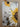 Abstract Sunflower 3D Heavy Textured Partial Oil Painting - Wall Art - WallArtt
