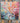 Burst of Colors 3D Heavy Textured Partial oil Painting - WallArtt