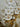 Cream Flowers 3d Heavy Textured Partial Oil Painting - WallArtt