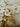 Cream Flowers 3d Heavy Textured Partial Oil Painting - WallArtt