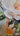 Cream Roses II 3d Heavy Textured Partial Oil Painting - WallArtt