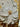 Cream White Flowers with Gold II 3d Heavy Textured Partial Oil Painting - WallArtt