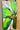 Green Flower 3d Heavy Textured Partial Oil Painting - WallArtt