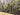 Misty Forest 3d Heavy Textured Partial Oil Painting - Wall Art - WallArtt