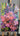 Pink Flowers Abstract Textured Partial Oil Painting - WallArtt