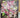 The Orchids Textured Partial Oil Painting - WallArtt