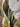 White Tulips 3d Heavy Textured Partial Oil Painting - Wall Art - WallArtt