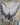 White Wings 3d Heavy Textured Partial Oil Painting - WallArtt