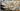 White with Gold Flower 3D Heavy Textured Partial oil Painting - WallArtt