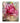 Abstract Pink Rose Textured Partial Oil Painting