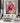 Abstract Pink Rose Textured Partial Oil Painting
