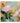 Abstract Colorful Flowers II 3d Heavy Textured Partial Oil Painting