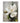 Big White Flower with Green Leaves 3d Heavy Textured Partial Oil Painting