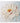 Beige Orange Flower 3d Heavy Textured Partial Oil Painting