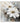 Abstract White Flowers 3d Heavy Textured Partial Oil Painting