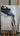 Abstract Black on White 3d Heavy Textured Partial Oil Painting - WallArtt