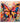Abstract Colorful Butterfly III 3D Heavy Textured Partial Oil Painting - Wall Art - WallArtt