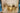 Abstract Gold Sun Textured Partial Oil Painting - WallArtt