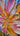 Abstract Pink Flowers II 3d Heavy Textured Partial Oil Painting - WallArtt