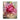 Abstract Pink Rose Textured Partial Oil Painting - WallArtt