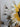 Abstract Sunflower 3D Heavy Textured Partial Oil Painting - Wall Art - WallArtt