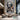 Abstract Woman 3D Heavy Textured Partial oil Painting - Wall Art - WallArtt