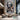 Abstract Woman 3D Heavy Textured Partial oil Painting - Wall Art - WallArtt