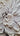 Big White Flower 3d Heavy Textured Partial Oil Painting - WallArtt