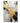 Black White with Gold Foil III 3d Heavy Textured Partial Oil Painting - Wall Art - WallArtt