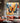 Colorburst Butterfly 3D Heavy Textured Partial Oil Painting - WallArtt