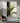 Green Leaves Textured Partial Oil Painting - Wall Art - WallArtt