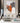 Orange Mink 3D Heavy Textured Partial Oil Painting - WallArtt