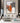 Orange Mink 3D Heavy Textured Partial Oil Painting - WallArtt