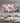 Pink Flowers 3d Heavy Textured Partial Oil Painting - WallArtt