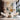 Vertical Botanical Elegance 3d Heavy Textured Partial Oil Painting - WallArtt