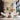 Vertical Botanical Elegance 3d Heavy Textured Partial Oil Painting - WallArtt