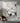 White Beauty 3D Heavy Textured Partial Oil Painting - WallArtt