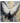 White Wings 3d Heavy Textured Partial Oil Painting - WallArtt